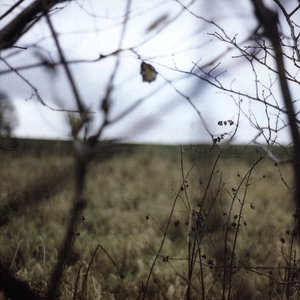 Image for 'The Cycle of Days & Seasons'