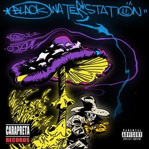 Image for 'Black Water Station'