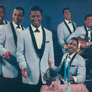 “The Flamingos”的封面