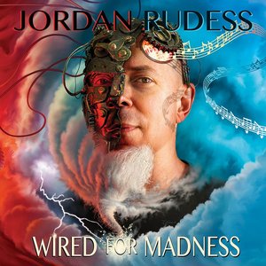 Image pour 'Wired For Madness'