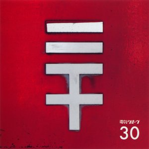 “30”的封面