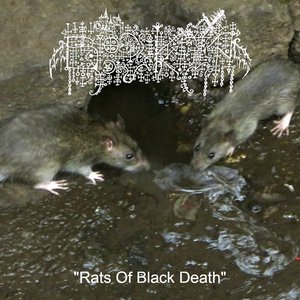 Image for 'Rats Of Black Death'