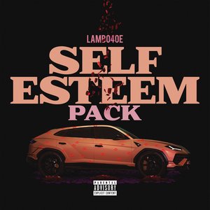 Image for 'Self Esteem Pack (Remixes)'