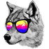 Avatar for DiggiWolf