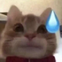 Silksum için avatar