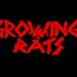 Avatar för Growing rats
