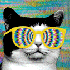 Avatar for breitbandpixel
