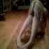 angebabydoll 的头像