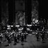 Ensemble Aedes 的头像