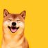 Avatar for DOGEcoinDOGE