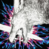 Avatar for AvidAcidAcrid