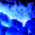 Avatar for polvopinguim