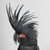 Avatar di gothparrot