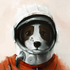 digitaldog için avatar