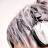 Avatar for loco-moco-