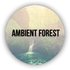 Avatar de Ambient Forest