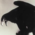 Avatar for theraven1982