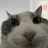 Avatar for suwuffocate
