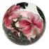 lilymaii 的头像