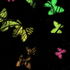 Avatar for fruitymusic