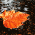 Avatar for lasse_lante