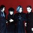 Malace Mizer 的头像