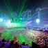 Avatar for Sensation White
