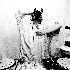 Shackleton 的头像