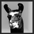 Avatar for bl4ckllama