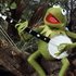 Avatar de Kermit the Frog