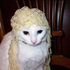 Avatar for KiwiBirb666