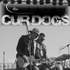 Thecurdogs için avatar