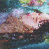Avatar de avircupid