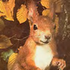 MummySquirrel için avatar
