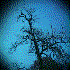 Avatar for andakawwa