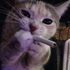 Avatar di Peligro_