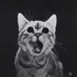 Avatar di fo4sak3n