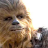 Awatar dla the_wookie