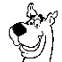 Avatar for coccolacani