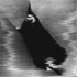 Avatar de thestergnosis