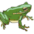 Avatar for f4r_form