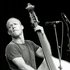 Avishai Cohen için avatar