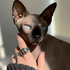 Avatar für blurenn