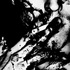Avatar de NoizeKx