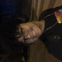Avatar for ysmlrt