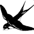 Avatar for roefsknoef
