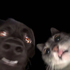 Avatar for slaflammey