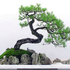 treetopsmith 的头像
