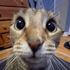 Avatar for Idkwhattotype2