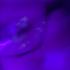 Avatar for cjGH